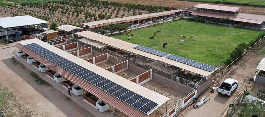 Paneles Solares 24V